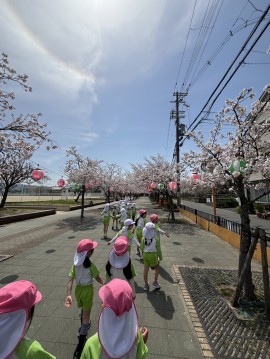 お花見にいきました。
